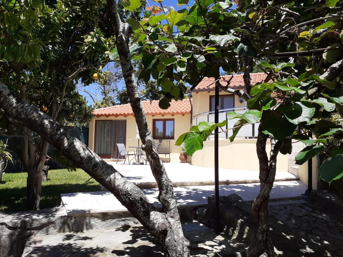 شقة Casa De Santa Luzia A Vila Praia de Âncora المظهر الخارجي الصورة